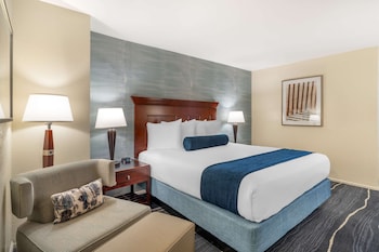 Standard Room, 1 King Bed, Non Smoking, Refrigerator