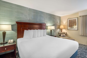 Standard Room, 1 King Bed, Accessible, Bathtub