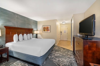Standard Room, 1 King Bed, Accessible, Non Smoking