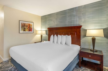 Standard Room, 1 King Bed, Accessible, Bathtub