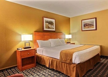 Standard Room, 1 King Bed, Non Smoking