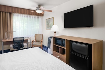 Standard Room, 1 Queen Bed, Non Smoking, Refrigerator & Microwave