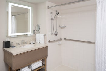 Traditional Room, 1 King Bed (Mobility Accessible, Roll-In Shower)