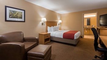 Standard Room, 1 King Bed, Accessible, Bathtub