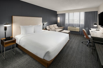 Room, 1 King Bed with Sofa bed