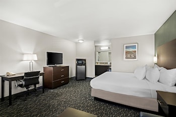 Standard Room, 1 King Bed, Non Smoking, Microwave (Larger Room)