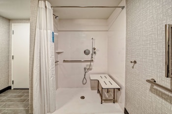 Room, 1 King Bed, Accessible (Roll-In Shower)