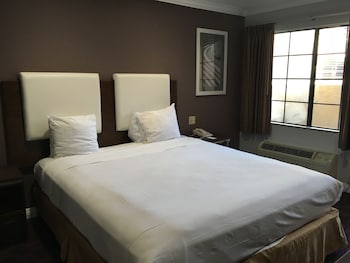 Single Guest Room