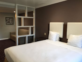 Single Guest Room