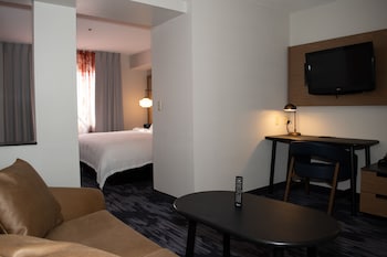 Suite, 1 King Bed with Sofa bed