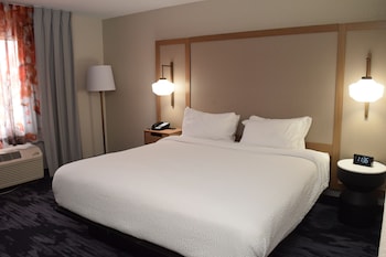 Suite, 1 King Bed with Sofa bed