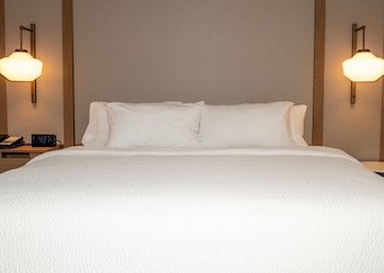 Room, 1 King Bed