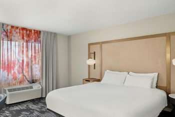 Suite, 1 King Bed with Sofa bed