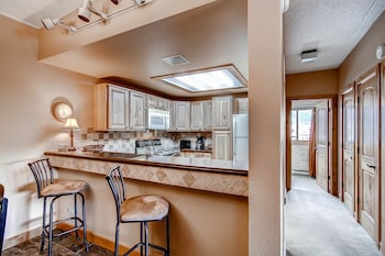 Premier Condo, 1 Bedroom