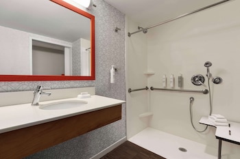 Room, 1 King Bed, Accessible, Non Smoking (Roll In Shower)