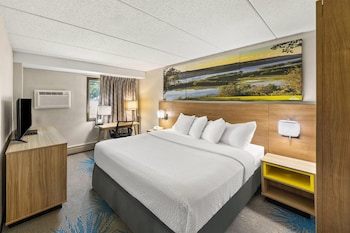 Upgraded, Standard Room, 1 Queen Bed