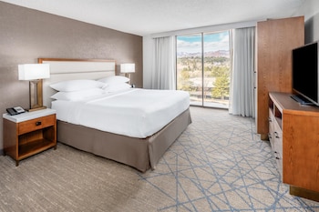 Room, 1 King Bed, Mountain View