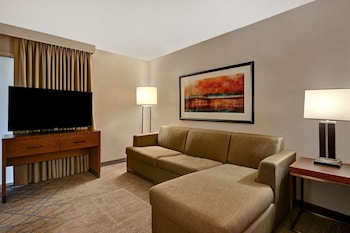Suite, Multiple Beds (Larger Suite)