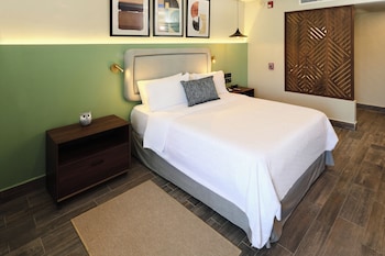 Room, 1 King Bed, Accessible