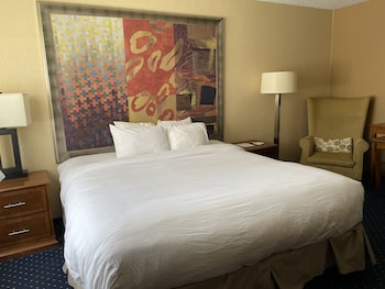 Room, 1 King Bed, Mobility Accessible, Non Smoking (Roll-in Shower)