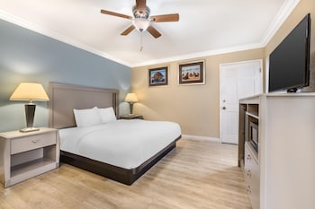 Standard Room, 1 King Bed, Accessible, Non Smoking (Walk-in Shower)