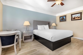 Standard Room, 1 King Bed, Refrigerator, Ocean View