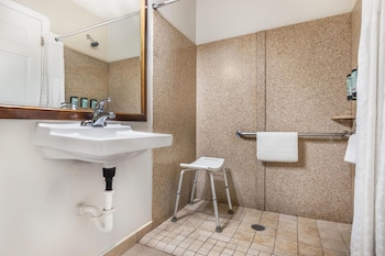 Standard Room, 1 King Bed, Accessible, Non Smoking (Walk-in Shower)