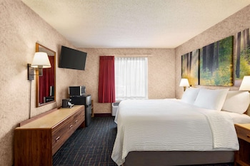 Studio Suite, 1 King Bed, Non Smoking