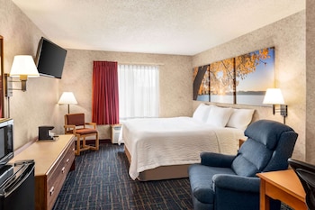 Business Room, 1 King Bed, Non Smoking (Pet Friendly)