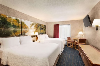 Suite, 1 Queen Bed