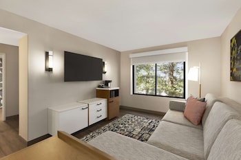 Suite, Accessible (King, Roll-In Shower)
