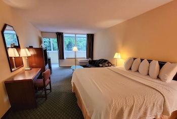 Standard Room, 1 King Bed, Non Smoking