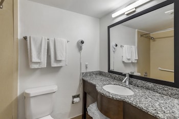 Standard Room, 1 King Bed, Refrigerator & Microwave, Courtyard View