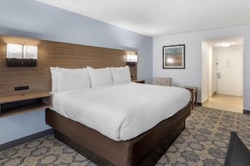 Standard Room, 1 King Bed, Non Smoking, Refrigerator & Microwave