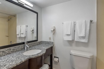Standard Room, 1 King Bed, Refrigerator & Microwave, Courtyard View