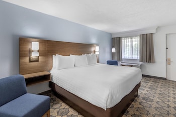 Standard Room, 1 King Bed, Refrigerator & Microwave, Courtyard View