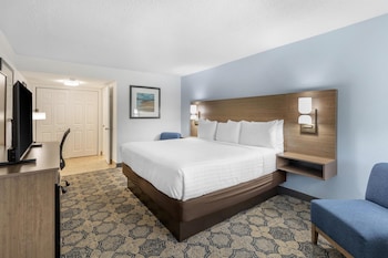 Standard Room, 1 King Bed, Refrigerator & Microwave, Courtyard View