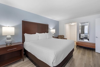 Suite, 1 King Bed, Non Smoking, Refrigerator & Microwave (Separate Living Room;with Sofabed)