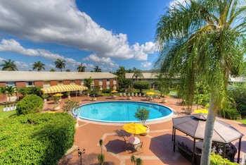 Standard Room, 1 King Bed, Refrigerator & Microwave, Courtyard View