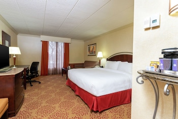 Room, 1 King Bed with Sofa bed, Accessible, Bathtub