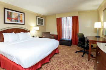 Room, 1 King Bed