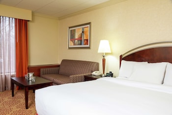 Room, 1 King Bed with Sofa bed, Accessible, Bathtub
