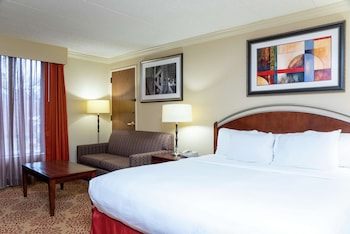 Room, 1 King Bed with Sofa bed, Accessible, Bathtub