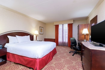 Room, 1 Queen Bed, Accessible (Mobility & Hearing, Roll-in Shower)
