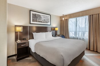Business Room, 1 King Bed, Non Smoking