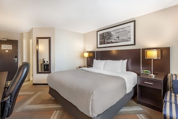 Business Room, 1 King Bed, Non Smoking
