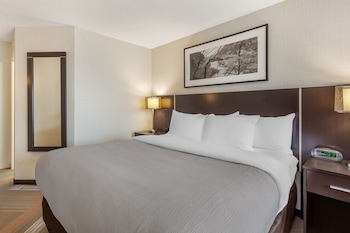 Business Room, 1 King Bed with Sofa bed, Non Smoking