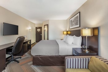 Business Room, 1 King Bed with Sofa bed, Non Smoking