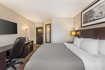 Business Room, 1 King Bed, Non Smoking