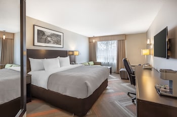 Business Room, 1 King Bed with Sofa bed, Non Smoking